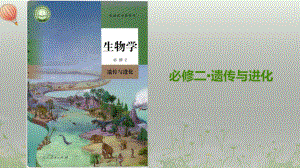 1.1孟德尔的豌豆杂交实验（一） ppt课件(9)-2023新人教版（2019）《高中生物》必修第二册.pptx