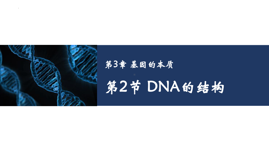 3.2 DNA的结构 ppt课件(4)-2023新人教版（2019）《高中生物》必修第二册.pptx_第1页