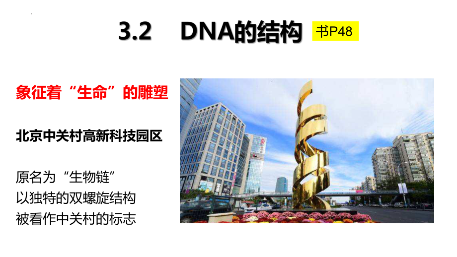 3.2 DNA的结构 ppt课件(2)-2023新人教版（2019）《高中生物》必修第二册.pptx_第1页