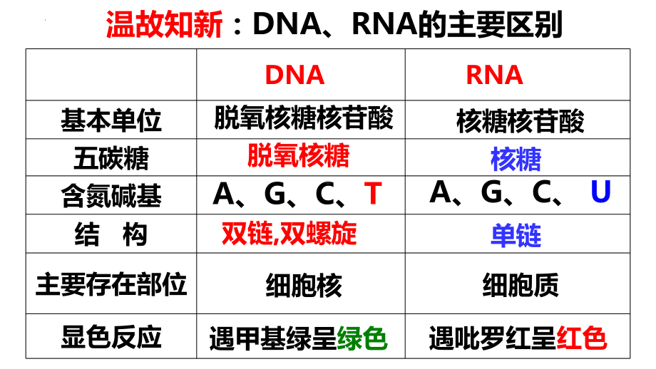 3.2 DNA分子的结构 ppt课件(1)-2023新人教版（2019）《高中生物》必修第二册.pptx_第1页