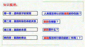 4.1基因指导蛋白质的合成 ppt课件(5)-2023新人教版（2019）《高中生物》必修第二册.pptx