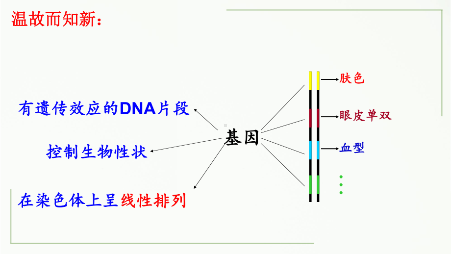 4.1基因指导蛋白质的合成 ppt课件(5)-2023新人教版（2019）《高中生物》必修第二册.pptx_第2页