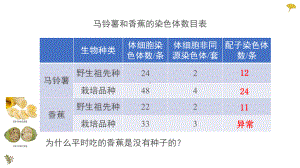 5.2染色体变异 ppt课件（0002）(4)-2023新人教版（2019）《高中生物》必修第二册.pptx