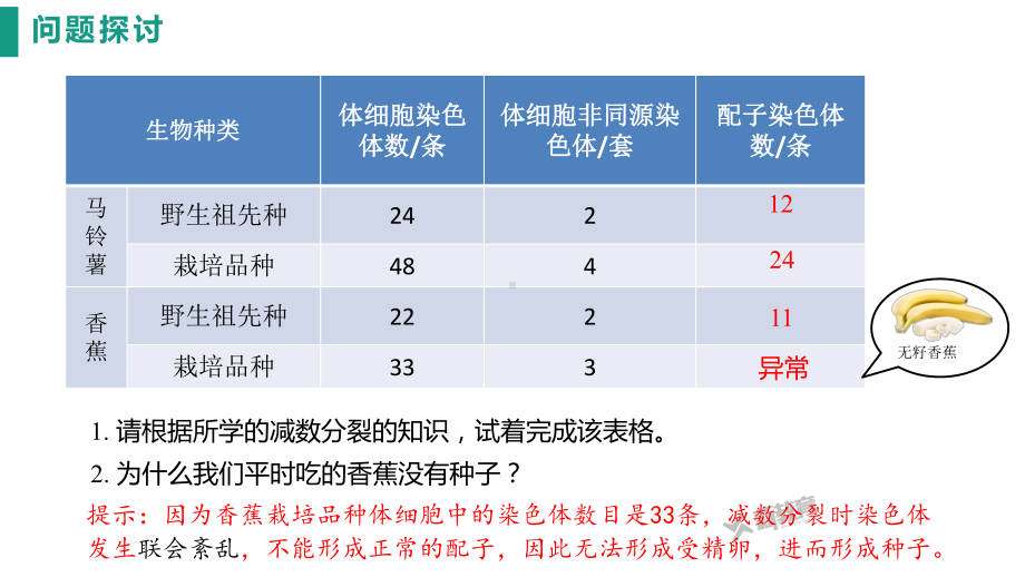 5.2染色体变异 ppt课件（0002）(5)-2023新人教版（2019）《高中生物》必修第二册.pptx_第3页