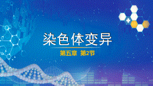 5.2染色体变异 ppt课件（0002）(7)-2023新人教版（2019）《高中生物》必修第二册.pptx