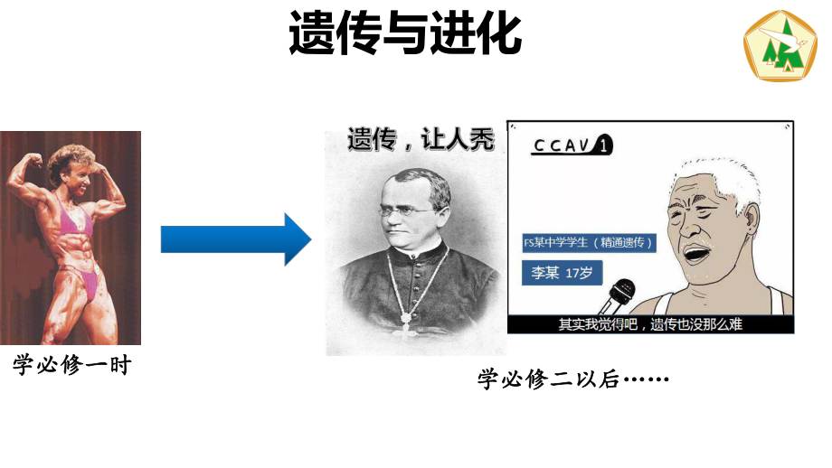 1.1孟德尔的豌豆杂交实验（一） ppt课件(2)-2023新人教版（2019）《高中生物》必修第二册.pptx_第1页