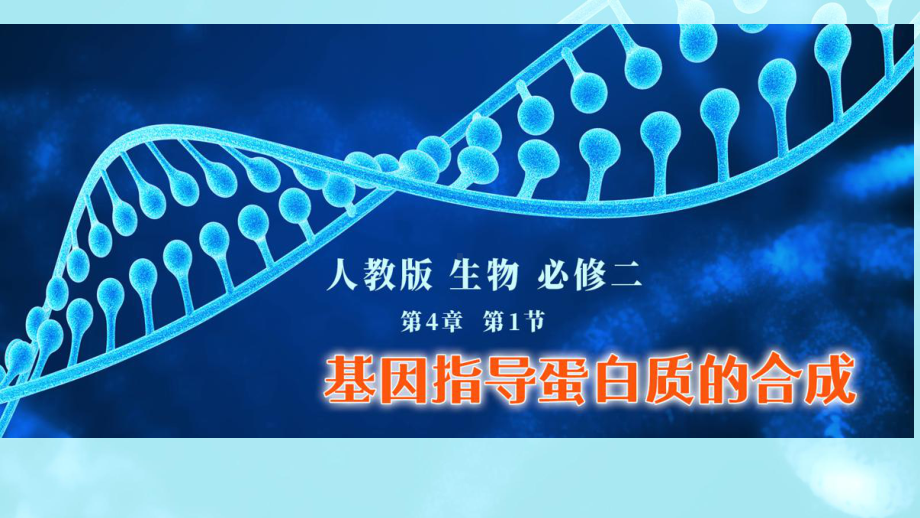 4.1 基因指导蛋白质的合成 ppt课件(2)-2023新人教版（2019）《高中生物》必修第二册.pptx_第1页