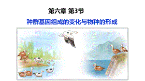 6.3种群基因组成的变化与物种的形成 ppt课件 (1)-2023新人教版（2019）《高中生物》必修第二册.pptx