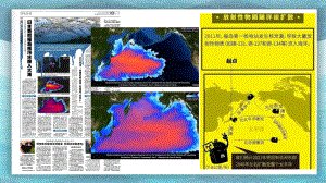 5.1 基因突变和基因重组 ppt课件(6)-2023新人教版（2019）《高中生物》必修第二册.pptx