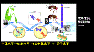 3.2DNA的结构 ppt课件（0002）(9)-2023新人教版（2019）《高中生物》必修第二册.pptx