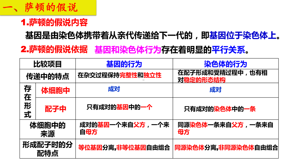 2.2基因在染色体上 ppt课件（0002）(4)-2023新人教版（2019）《高中生物》必修第二册.pptx_第3页