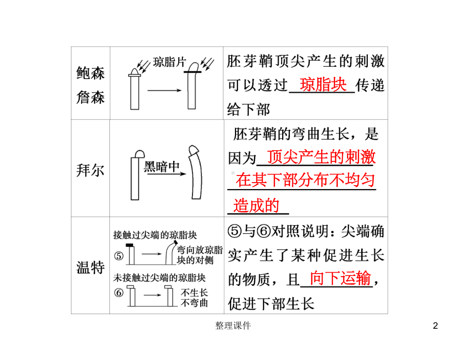 《植物的激素调节》PPT课件课件.ppt_第2页