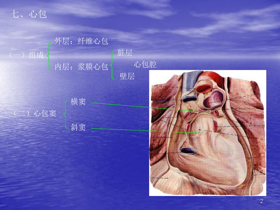 心包疾病幻灯教学课件.ppt_第2页