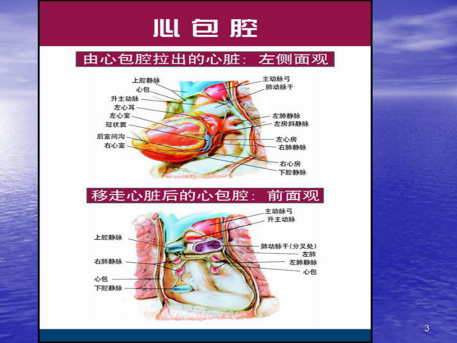 心包疾病幻灯教学课件.ppt_第3页