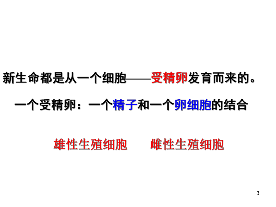 浙教版科学《新生命的诞生》教学课件1.ppt_第3页