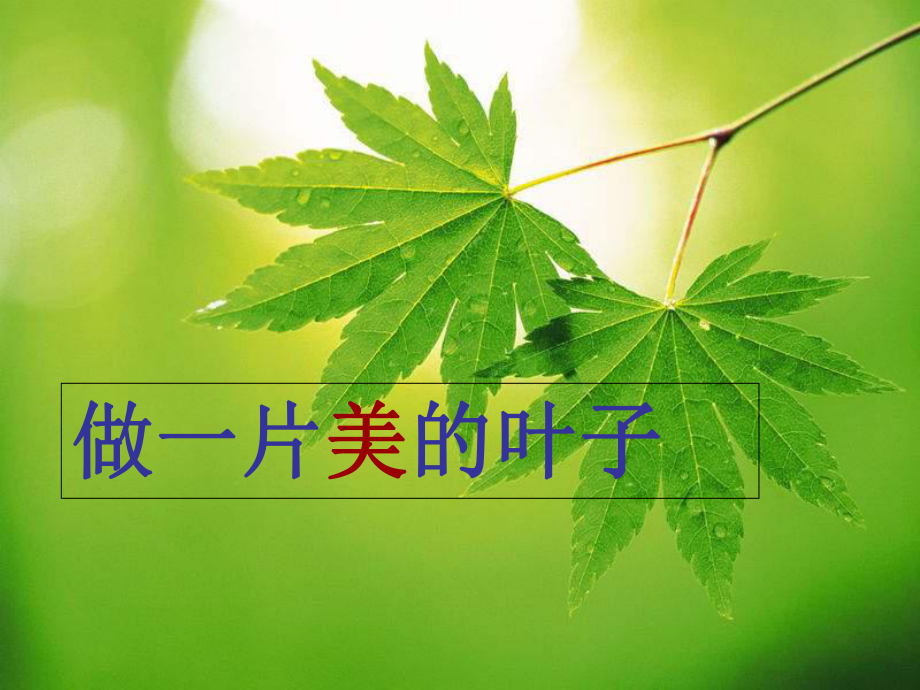 做一片美的叶子教学课件.ppt_第1页