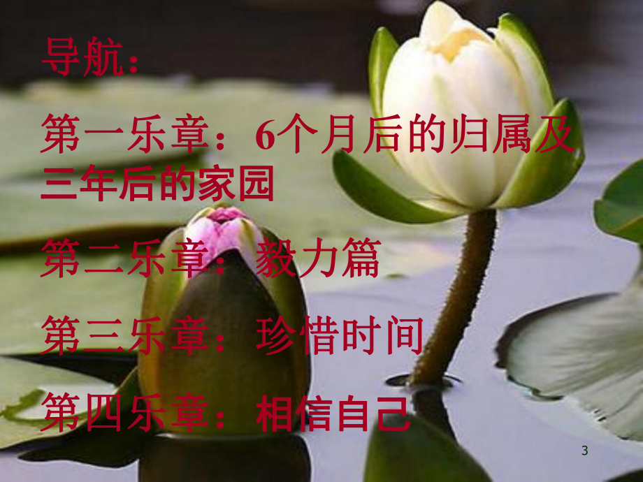 奋斗成就人生梦想公开课教学课件.ppt_第3页