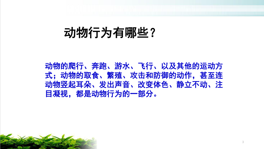 浙教版科学八年级上册动物的行为完整版教学课件.pptx_第3页