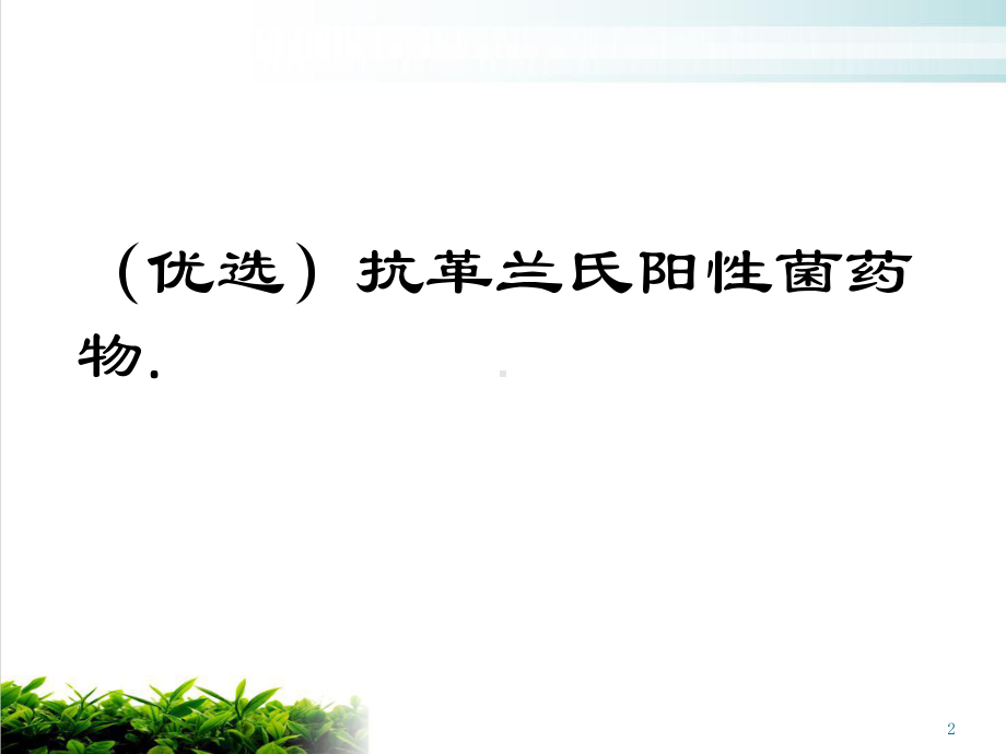 抗革兰氏阳性菌药物教学课件.ppt_第2页