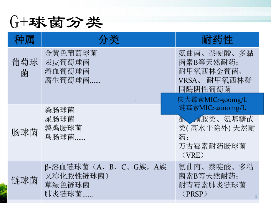 抗革兰氏阳性菌药物教学课件.ppt_第3页