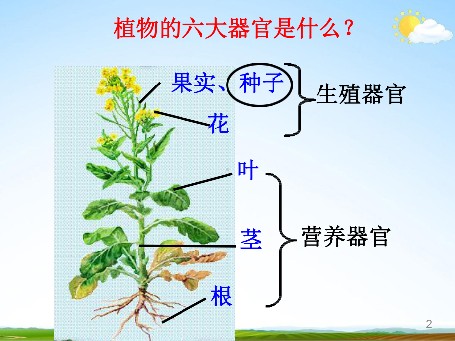 八年级下《植物的根与物质吸收》优质课浙教版1教学课件.pptx_第2页