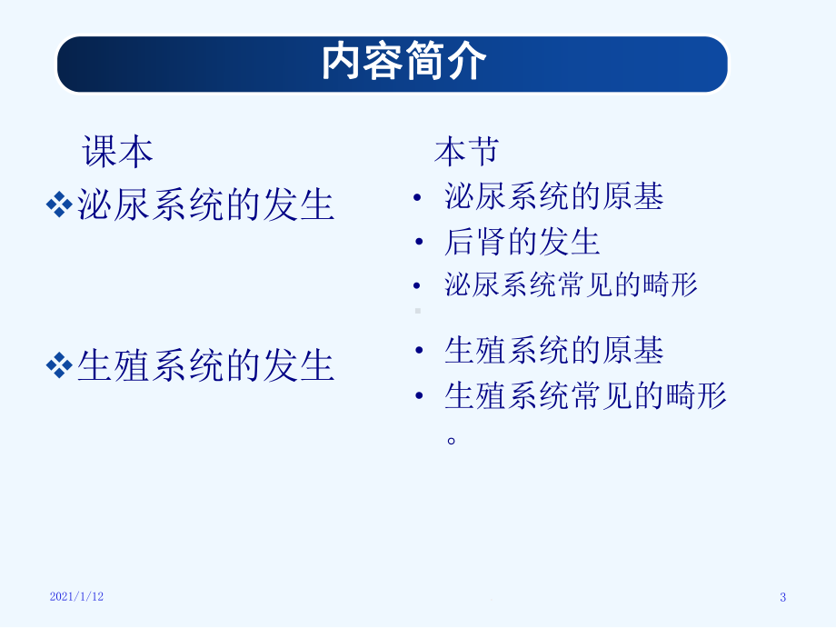 泌尿系统及生殖系统的发生教学课件.ppt_第3页