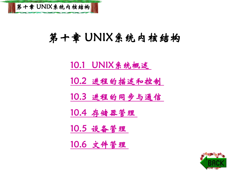 十章UNIX系统内核结构教学课件.ppt_第1页