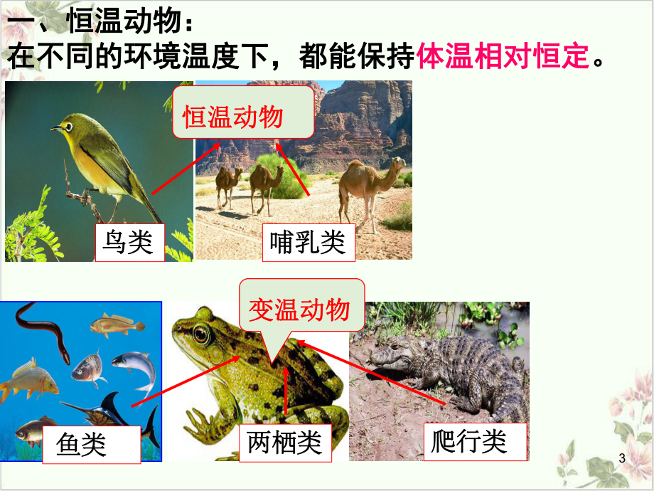 八年级下科学体温的控制浙教版2教学课件.ppt_第3页