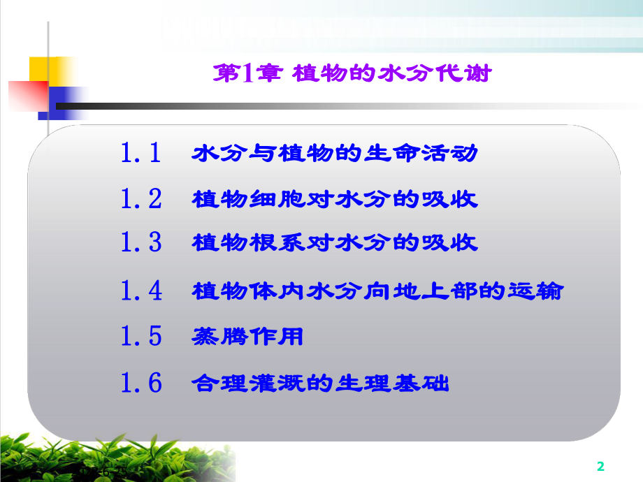 水分代谢培训教学课件.ppt_第2页