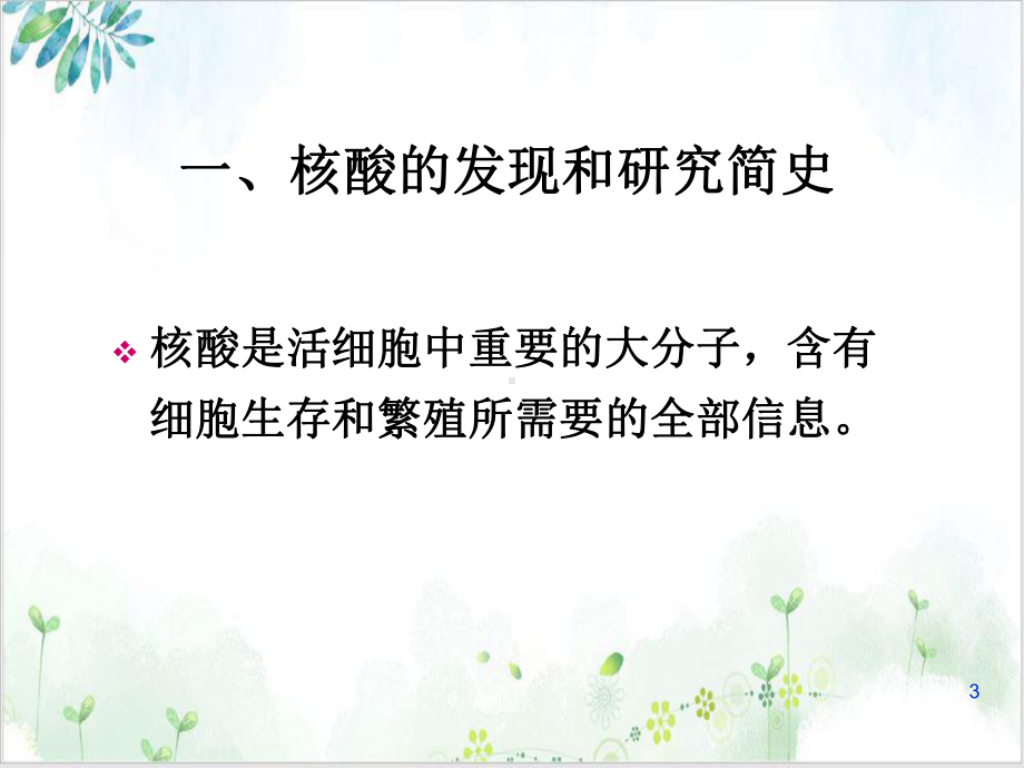 核酸通论结构教学课件.ppt_第3页