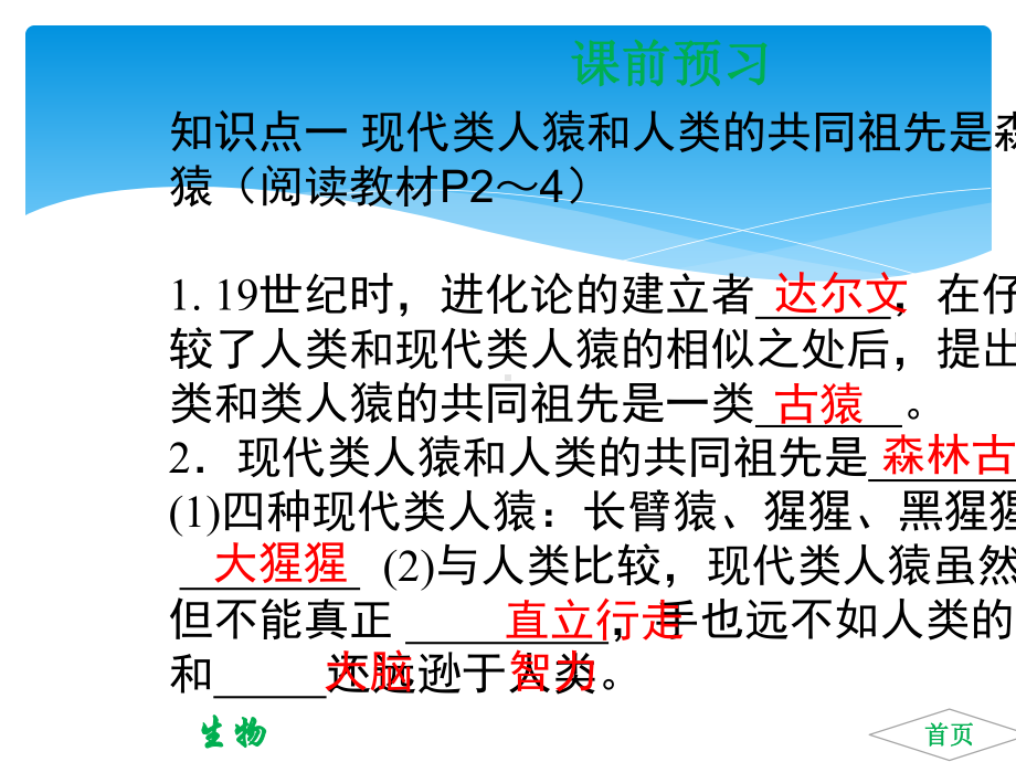 人教版七年级生物下册PPT课件课件全册.ppt_第3页