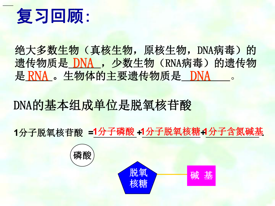 (新人教版)高中生物必修二第三章第二节《DNA分子的结构》课件.ppt_第2页