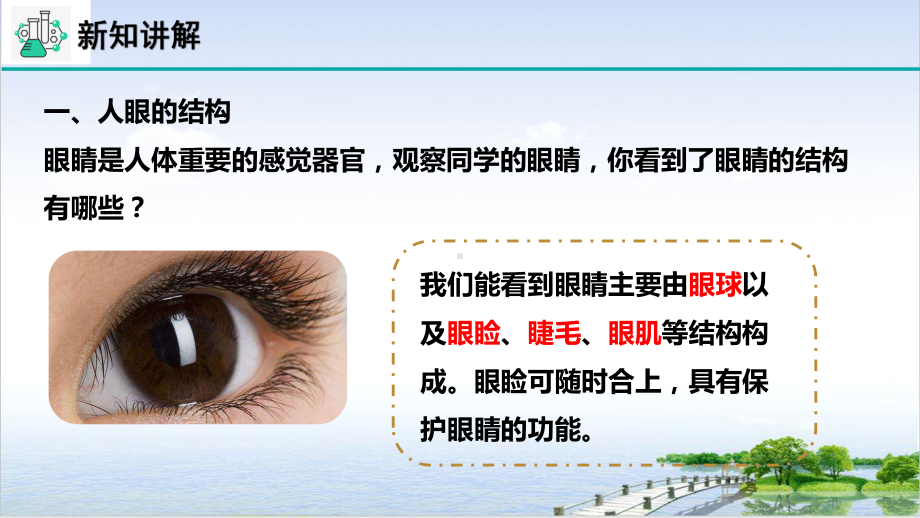 浙教版科学七级下册透镜和视觉第三课教学课件.pptx_第3页