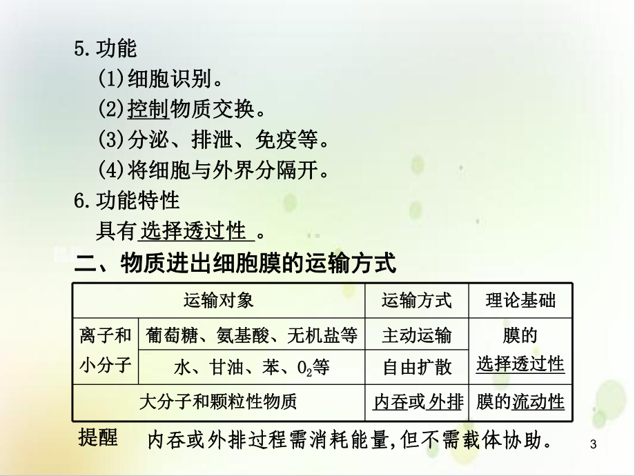 细胞的结构和功能细胞膜和细胞核示范教学课件.ppt_第3页