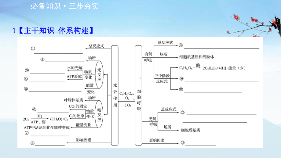 2021届高三二轮复习(江苏专版)生物专题复习：专题3-细胞呼吸与光合作用课件.ppt_第2页