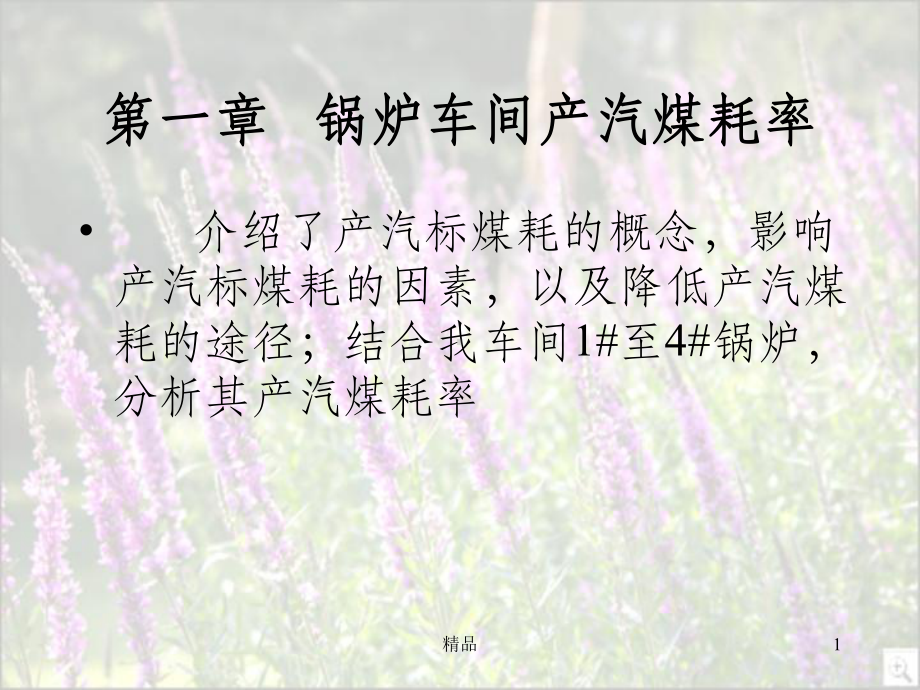 锅炉效率和有关计算教学课件.ppt_第1页