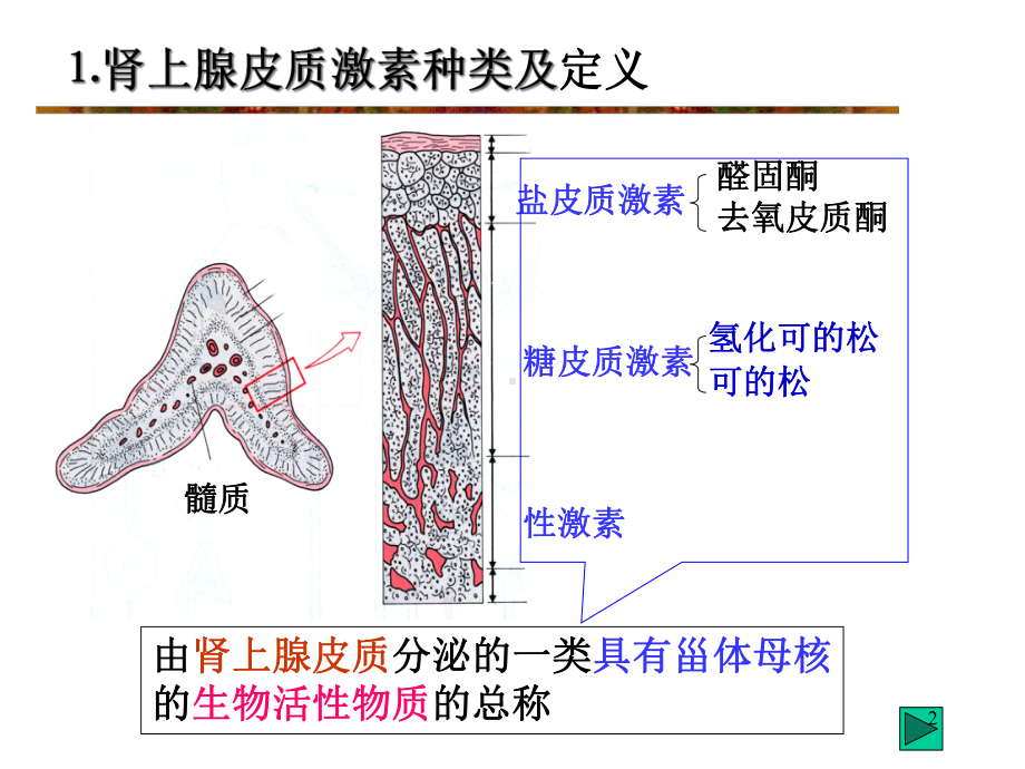 第三十五章肾上腺皮质激激素类教学课件.ppt_第2页