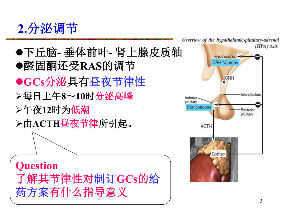 第三十五章肾上腺皮质激激素类教学课件.ppt_第3页