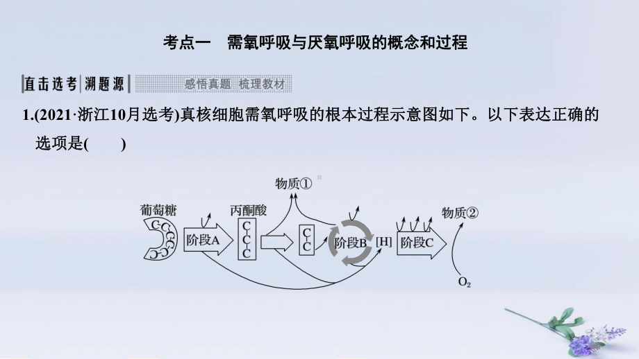 (浙江选考)2020版高考生物一轮复习第6讲细胞呼吸课件.pptx_第3页