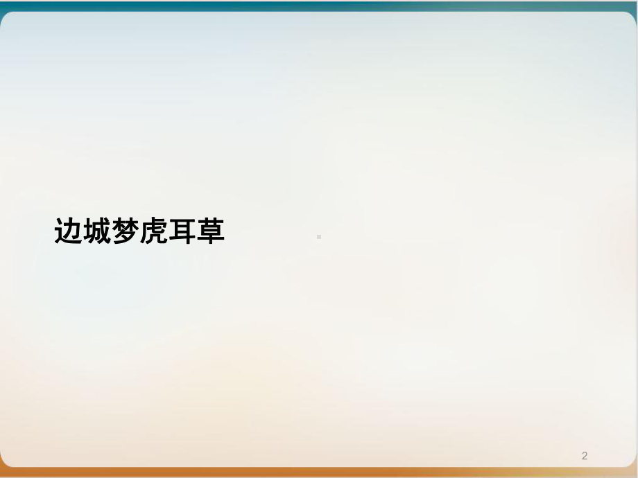 边城梦虎耳草教学课件.ppt_第2页