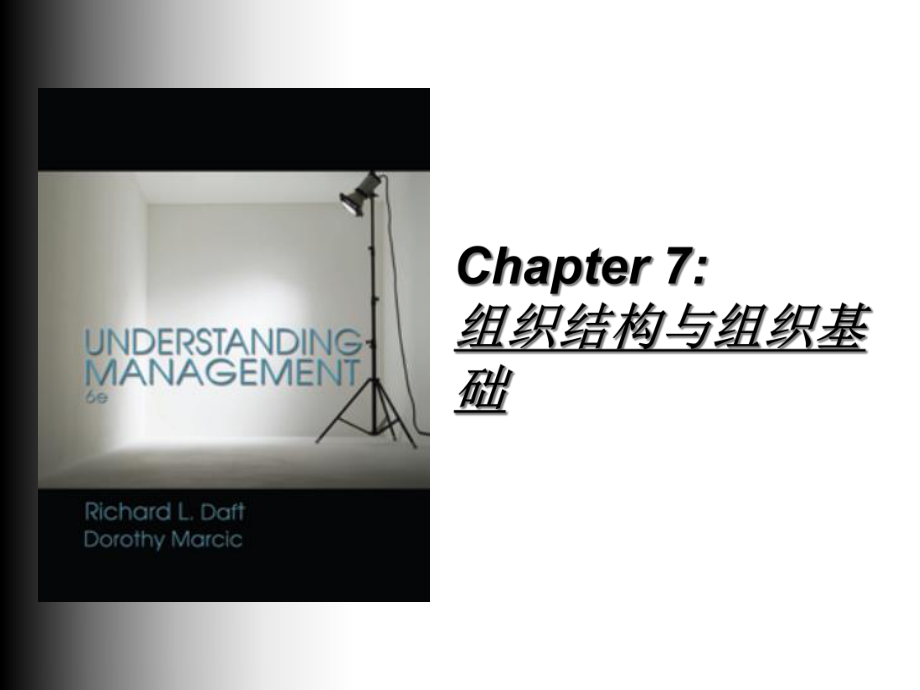 第7章组织结构与组织基础教学课件.ppt_第1页