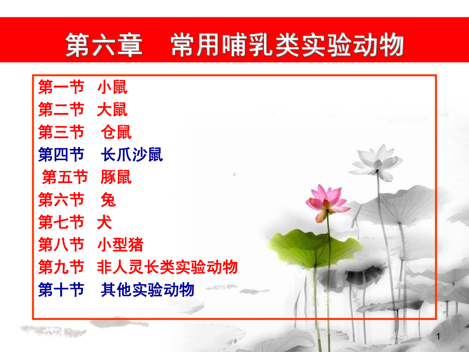 第六章常用实验动物教学课件.ppt_第1页