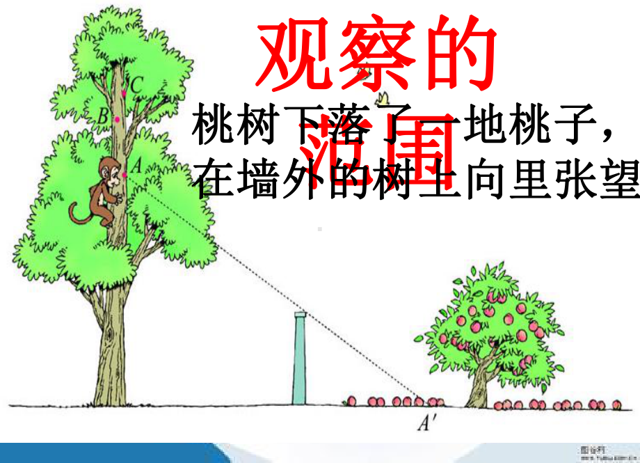 2019最新北师大版数学六年级上册《观察的范围》课件2.ppt_第2页