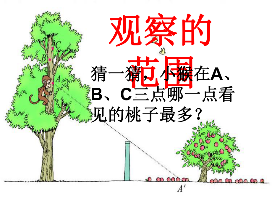 2019最新北师大版数学六年级上册《观察的范围》课件2.ppt_第3页