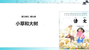 2021小学语文苏教版六年级上册《小草和大树》教学课件.ppt