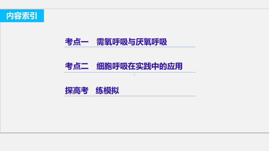 (浙江专用)高考生物-二轮复习-专题六-细胞呼吸课件.ppt_第2页