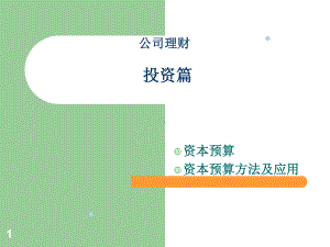 金融学专业公司理财8(投资指标及运用)教学课件.ppt