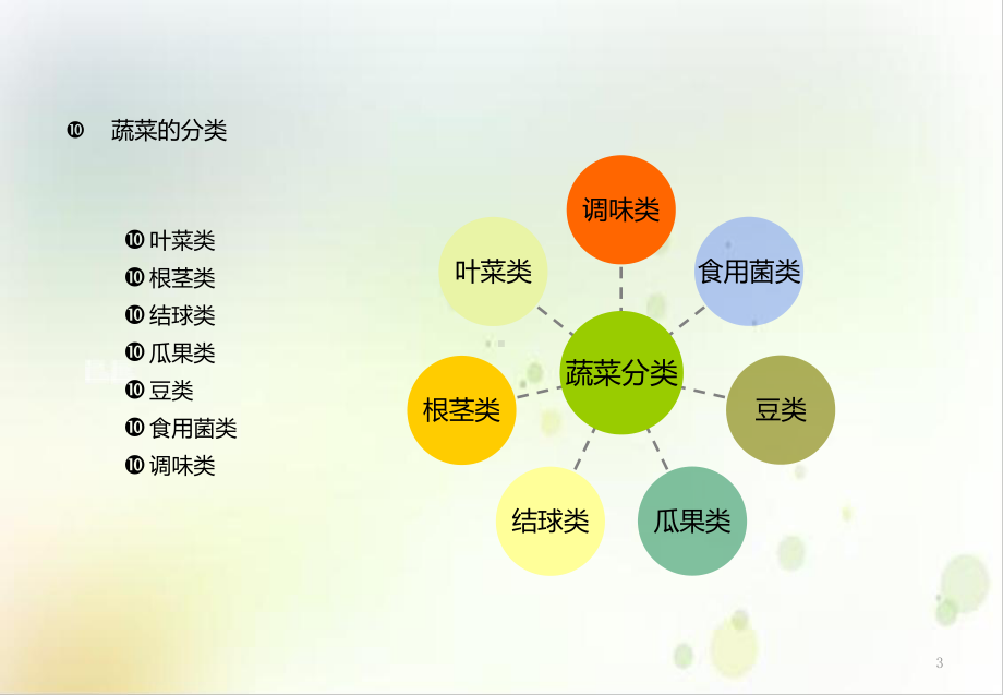 蔬菜资料教学课件.ppt_第3页