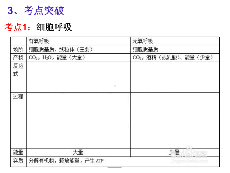 2021届高三二轮复习生物光合作用和细胞呼吸课件.pptx_第2页