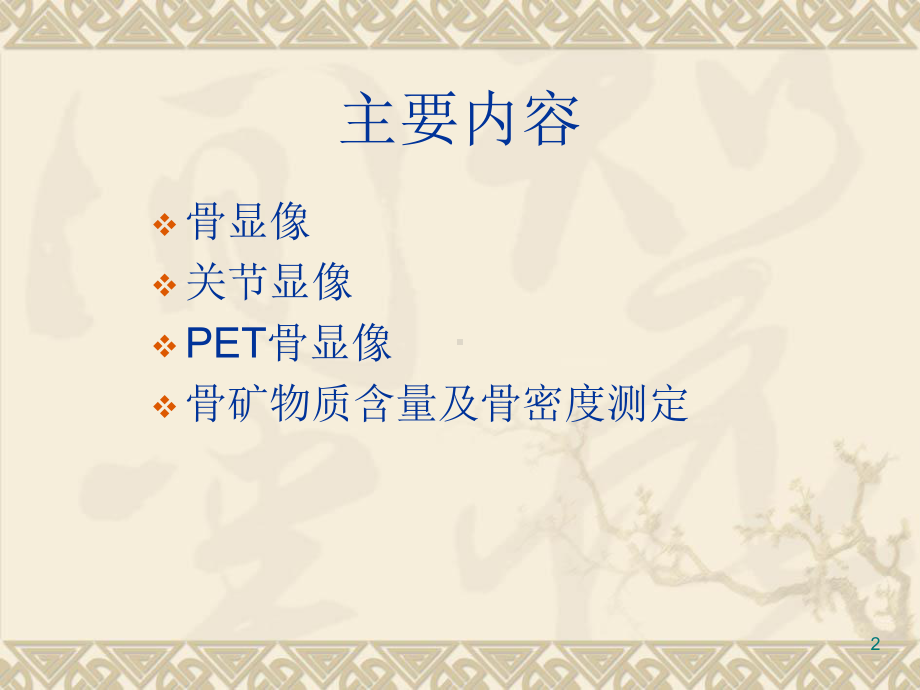 骨骼系统教学课件.ppt_第2页